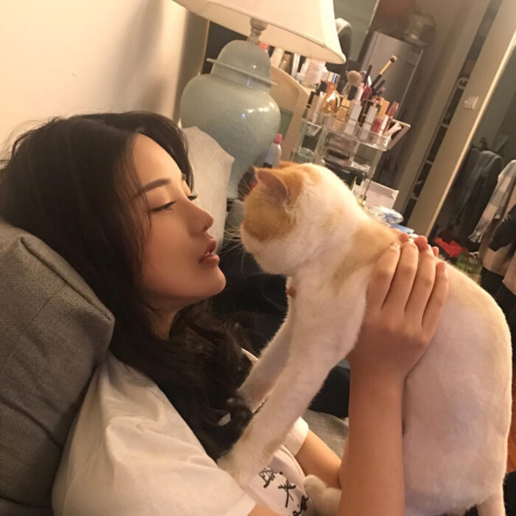 谷田部胜义 - 无广告纯净版在线观看 - 线上影视